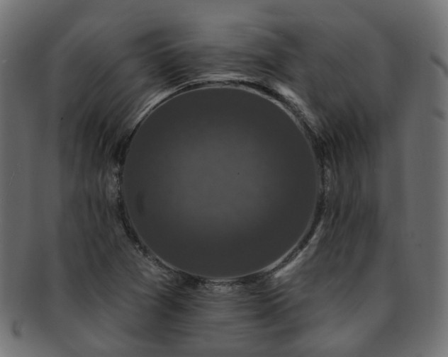 X0000092321361200709141405