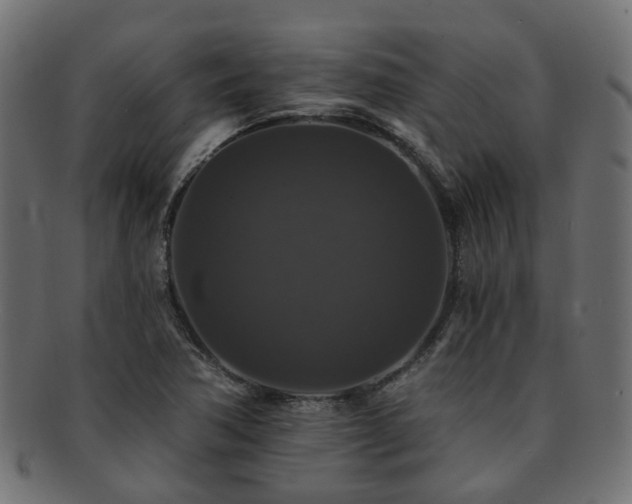 X0000092321362200709141405