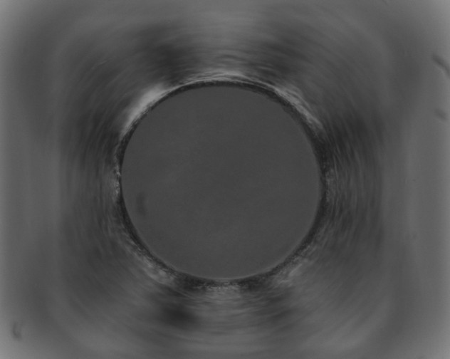 X0000092321363200709141405