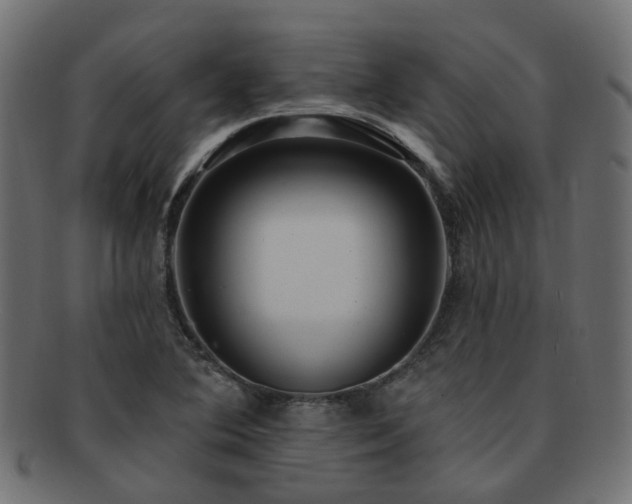 X0000092321364200709141405
