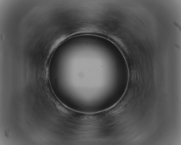 X0000092321366200709141405