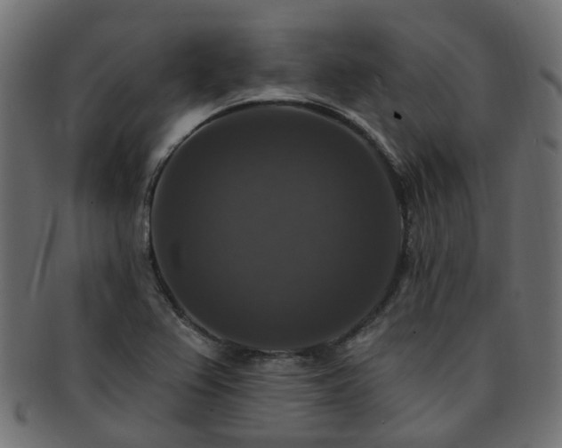 X0000092321367200709141405