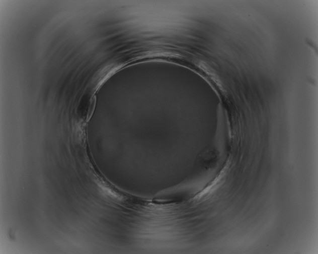 X0000092321369200709141405