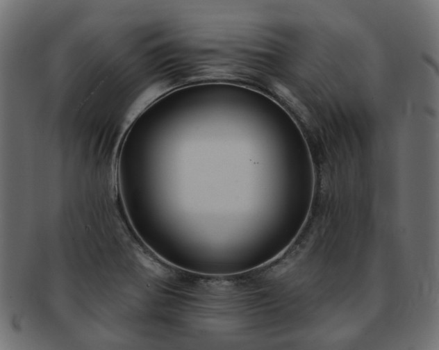 X0000092321370200709141405