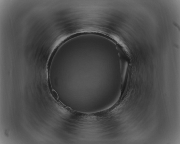 X0000092321372200709141405