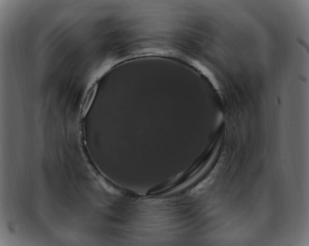 X0000092321373200709141405