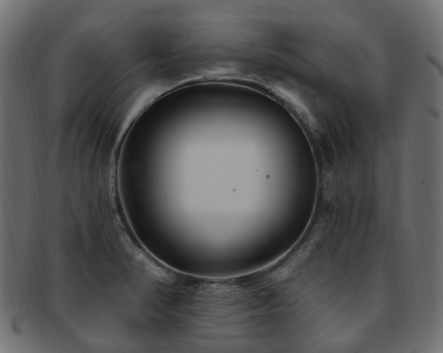 X0000092321374200709141405