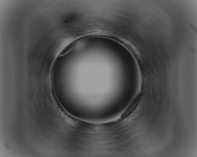 X0000092321375200709141405