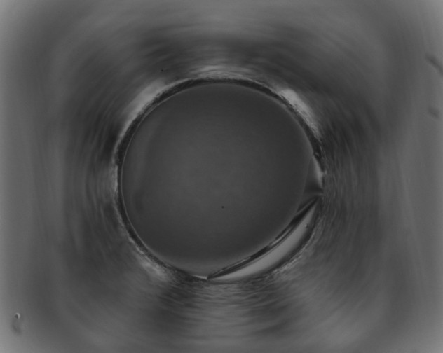 X0000092321376200709141405