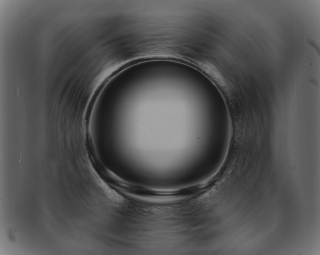 X0000092321380200709141405