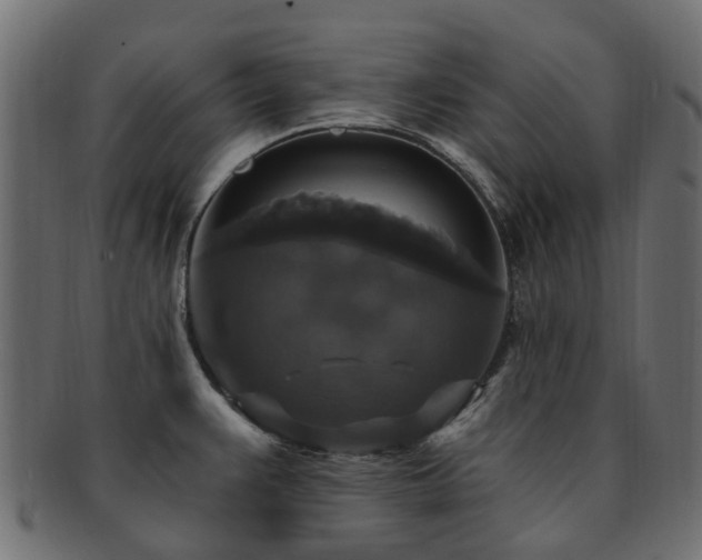 X0000092321383200709141405