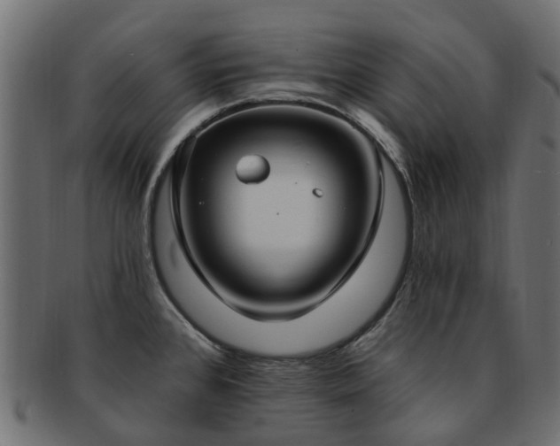 X0000092321384200709141405
