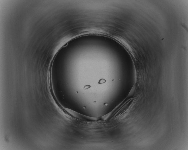 X0000092321391200709141404