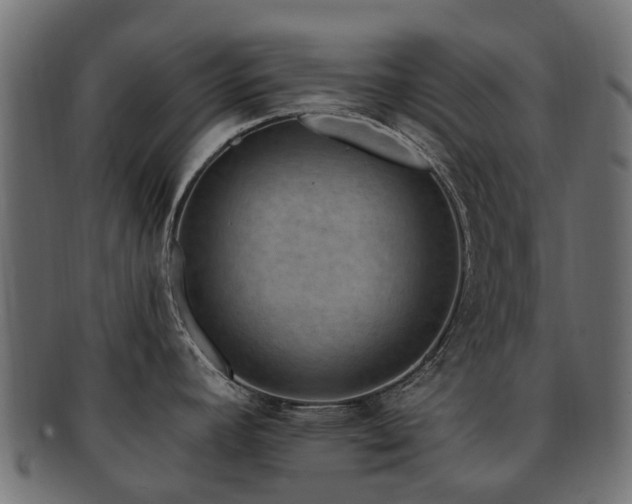 X0000092321392200709141404