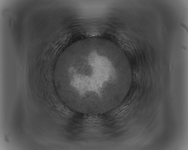 X0000092321393200709141404