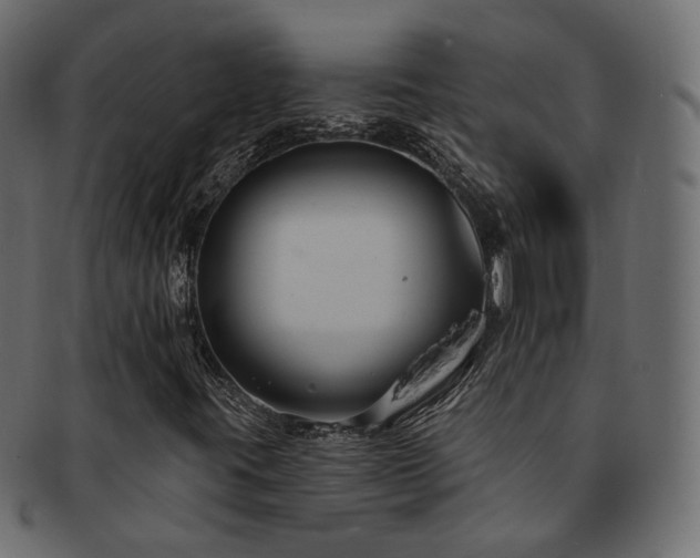 X0000092321395200709141404