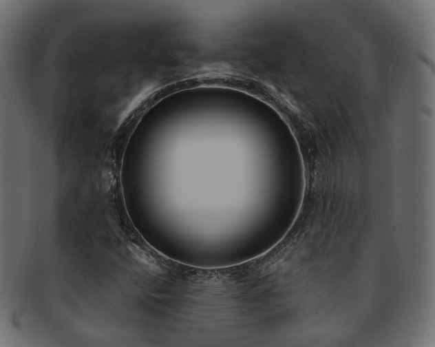 X0000092321400200709141404