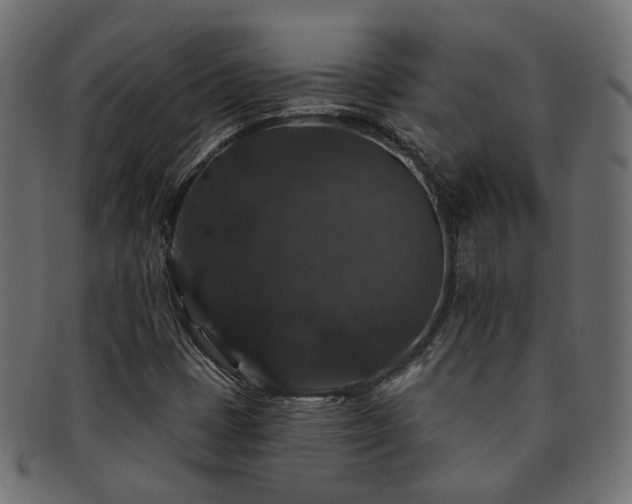 X0000092321401200709141404
