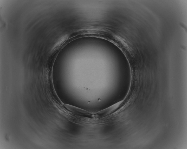 X0000092321403200709141404