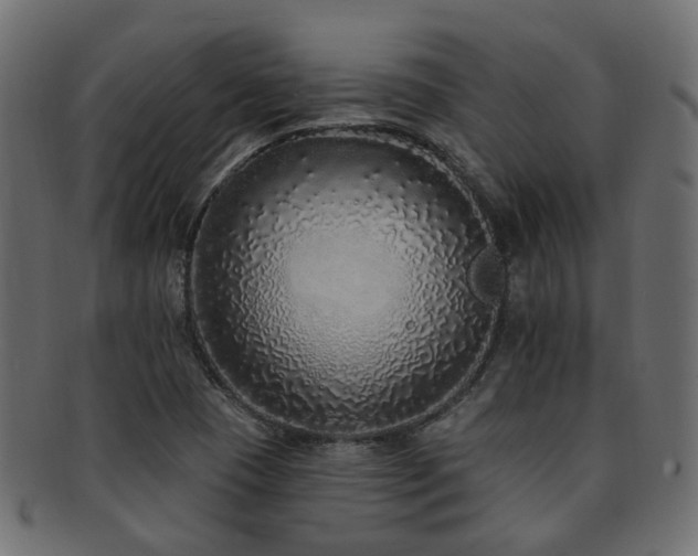 X0000092321409200709141404