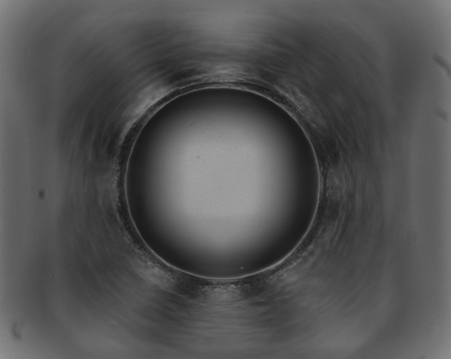 X0000092321410200709141404