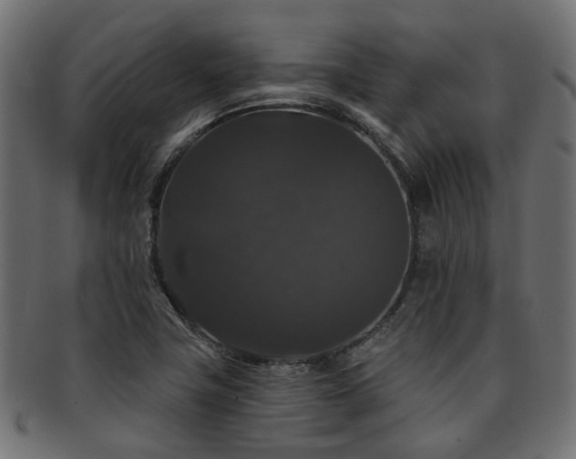 X0000092321411200709141404