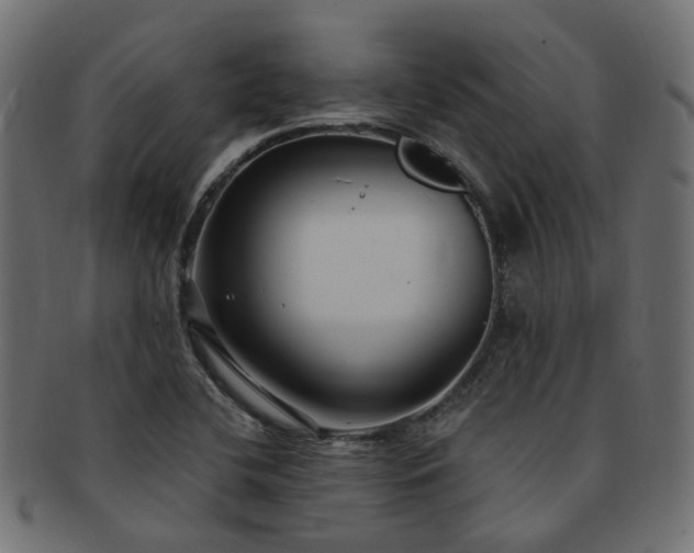 X0000092321412200709141404