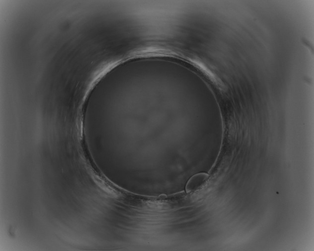 X0000092321413200709141404