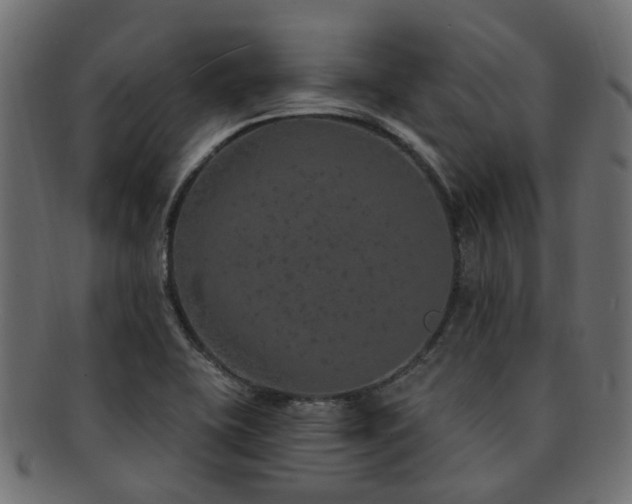 X0000092321415200709141404