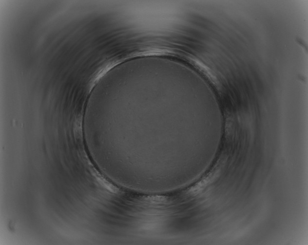 X0000092321417200709141404
