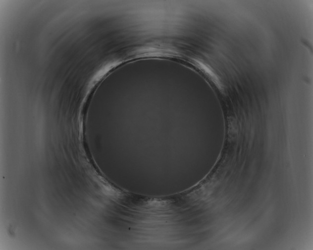 X0000092321419200709141404