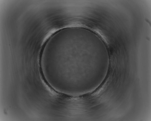 X0000092321422200709141404