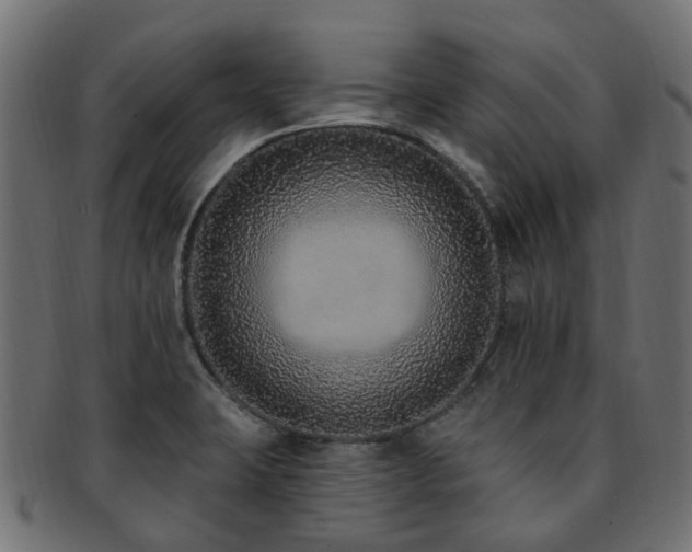 X0000092321423200709141404