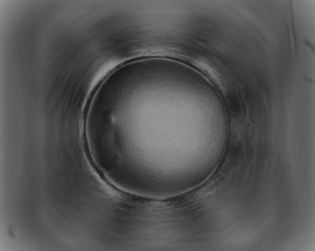 X0000092321424200709141404