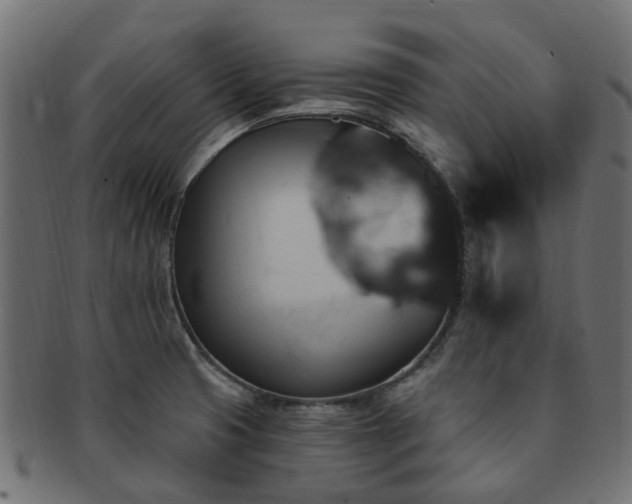 X0000092321425200709141404