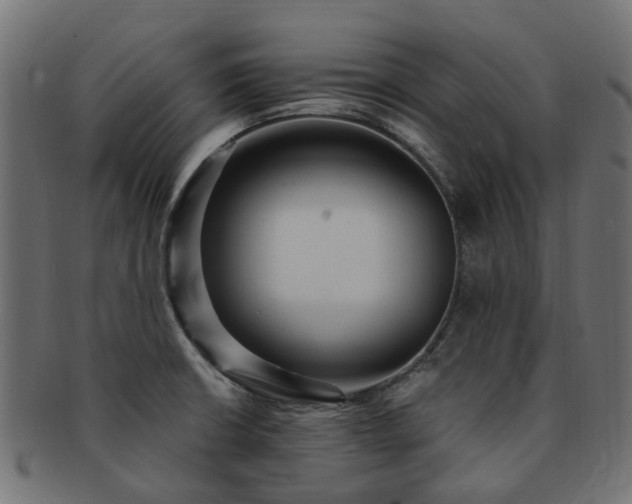 X0000092321426200709141404