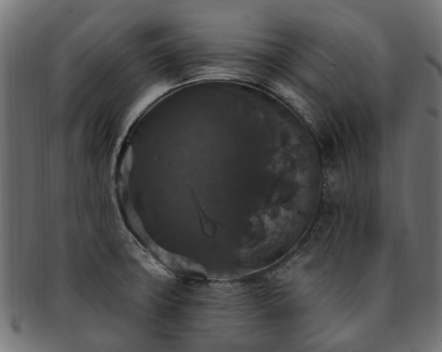 X0000092321427200709141404