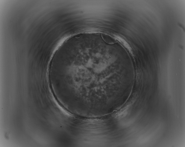 X0000092321429200709141404