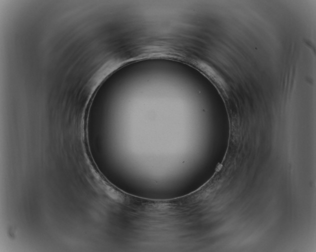 X0000092321431200709141404