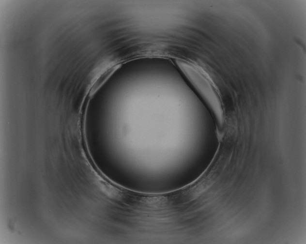 X0000092321434200709141404