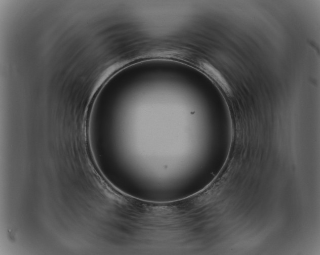 X0000092321436200709141404