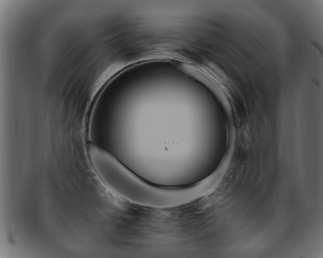 X0000092321438200709141404
