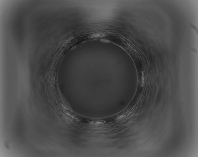 X0000092321441200709141404
