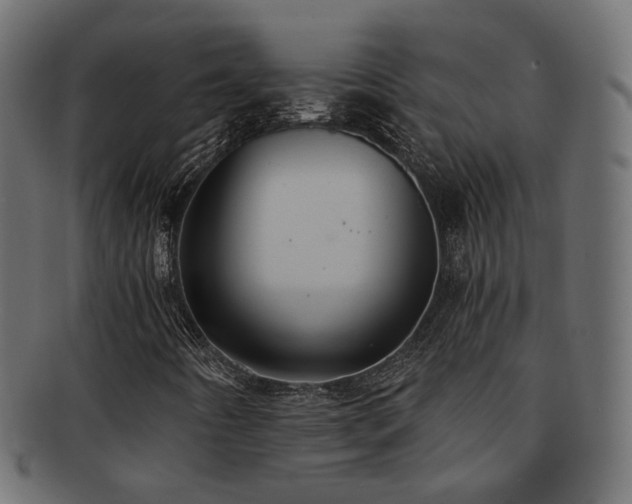 X0000092321442200709141404