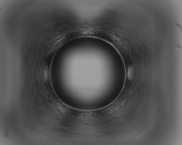 X0000092321444200709141404
