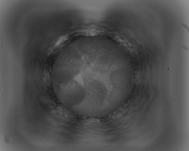 X0000092321446200709141404