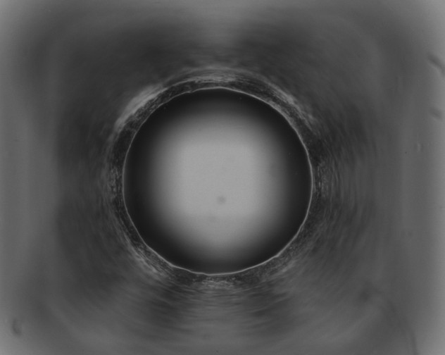 X0000092321448200709141404