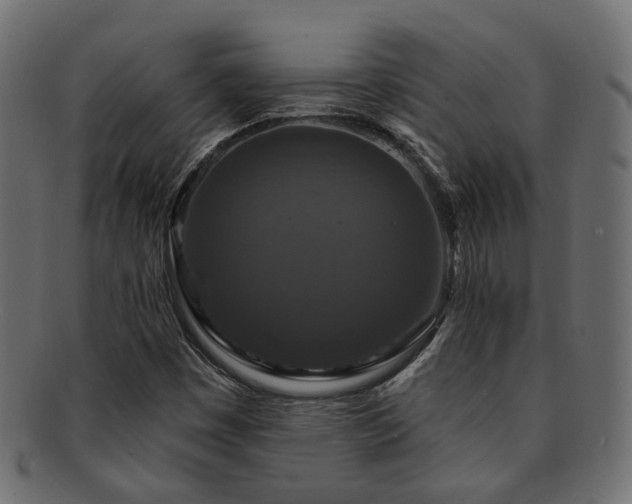 X0000092321449200709141404