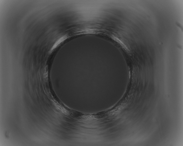 X0000092321450200709141404