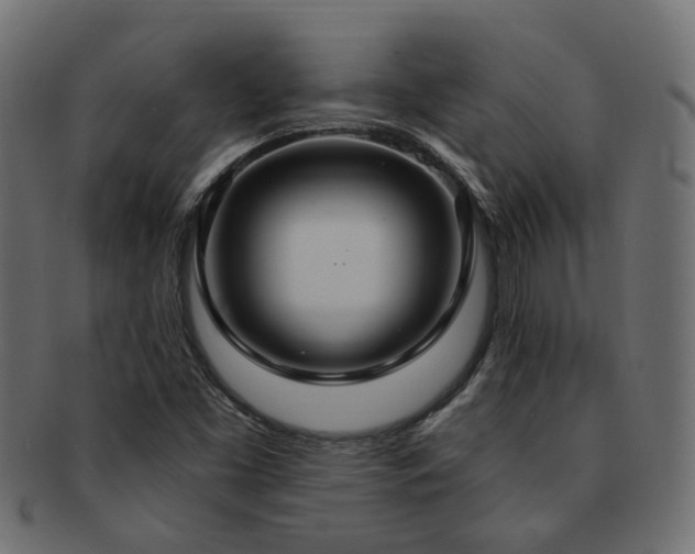 X0000092321453200709141404